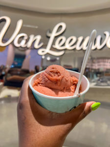 7 Vegan-Friendly Restaurants to try in NYC - Van Leeuwen